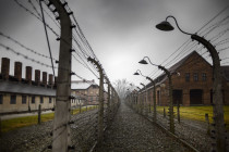 Koncentrační tábor Auschwitz–Birkenau - 42TČen